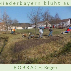 Niederbayern-blüht-auf-2015-1_Seite_06.jpg