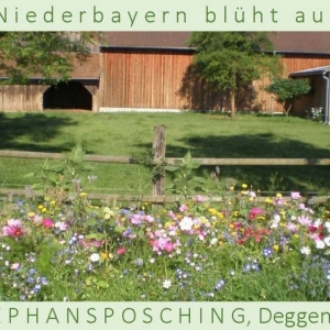 Niederbayern-blüht-auf-2015-1_Seite_40-1024x576.jpg