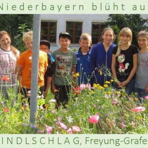 Niederbayern-blüht-auf-2015-1_Seite_14.jpg