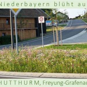 Niederbayern-blüht-auf-2015-1_Seite_17-1024x576.jpg