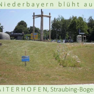 Niederbayern-blüht-auf-2015-1_Seite_05.jpg