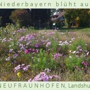 Niederbayern-blüht-auf-2015-1_Seite_22.jpg