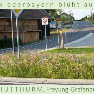 Niederbayern-blüht-auf-2015-1_Seite_17.jpg