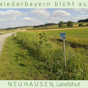 Niederbayern-blüht-auf-2015-1_Seite_23.jpg