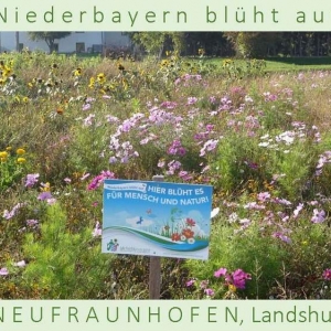 Niederbayern-blüht-auf-2015-1_Seite_21.jpg