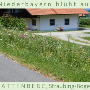 Niederbayern-blüht-auf-2015-1_Seite_30.jpg