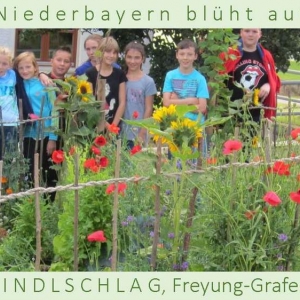 Niederbayern-blüht-auf-2015-1_Seite_13.jpg