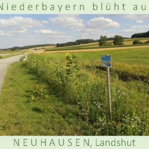 Niederbayern-blüht-auf-2015-1_Seite_23-1024x576.jpg