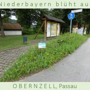 Niederbayern-blüht-auf-2015-1_Seite_27.jpg